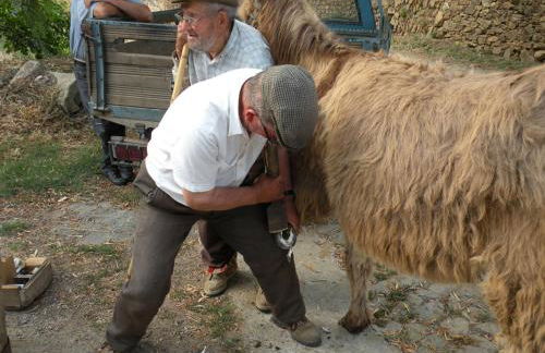 Apartamento Do Silva - Foto 33