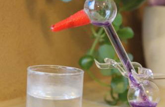 Feriengut zum Trinkstorch - Foto 24