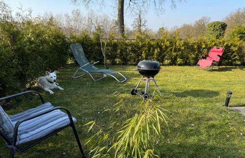 Ferienwohnung am See Dillich - Hunde willkommen - Eigener eingezäunter Garten - Ruhige Lage - Foto 21