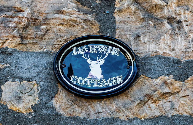 Darwin Cottage Self Catering in Elgin - Foto 33