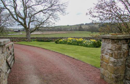 Yellow House - Foto 14