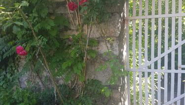 Gîte Les Gorges du Tarn - Photo 2, Garden