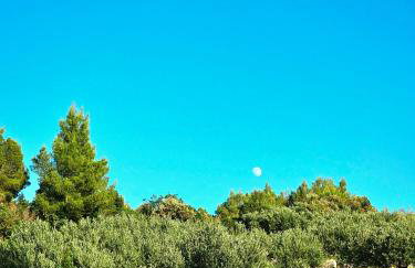 Villa Broč - Photo 150