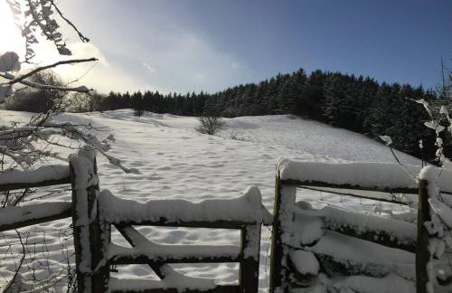 The Barn at Pentregaer Ucha, with tennis court and lake - Foto 27