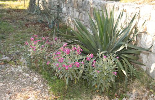 Apartments FRAGOLINA - Photo 67