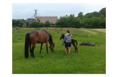 1 in the Maassen Country House - Foto 37