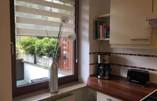 Wohnung direkt am Tegernsee mit XL-Terrasse - Foto 11