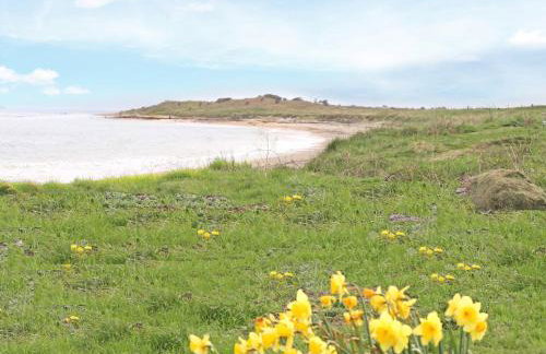 1 Bed in Alnwick oc-60516 - Foto 25