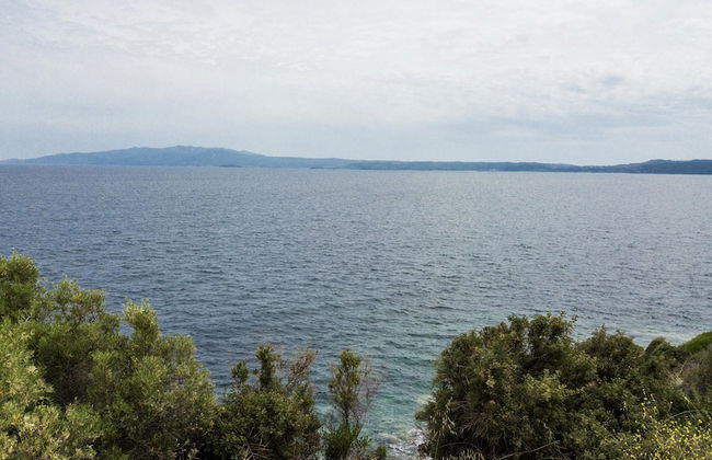 Zennova Sea & Mount Athos View 1 - Foto 25