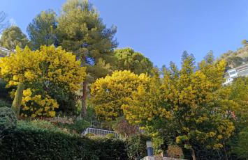 La plus belle vue de Villefranche - Foto 11