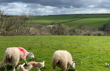 Barnaby’s Barn - Photo 23