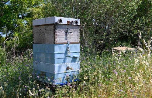 Villa Rosa - Foto 48