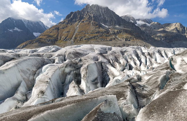 Chalet Okkernoot - Foto 10