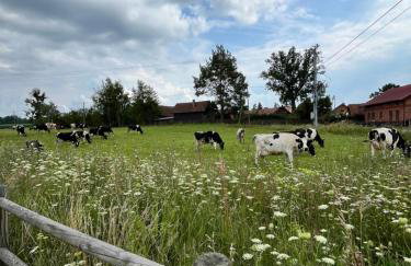 Przystanek Gałkowo - Foto 74