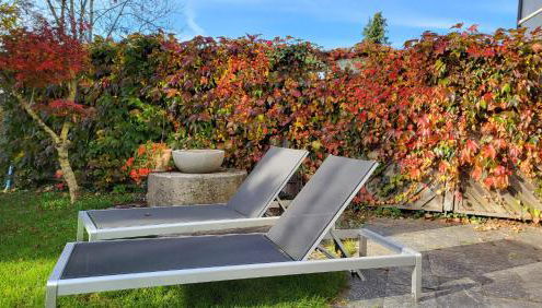 Ferienwohnung am Bruchwald - Foto 2, Garden