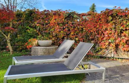 Ferienwohnung am Bruchwald - Foto 2