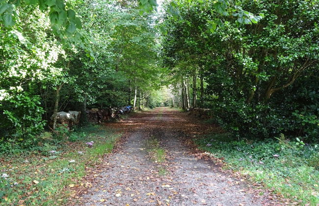 Apartment in Benodet Near Sandy Beaches - Foto 13