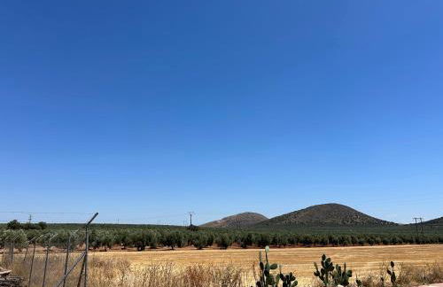 La Casita de Blanca - Foto 2