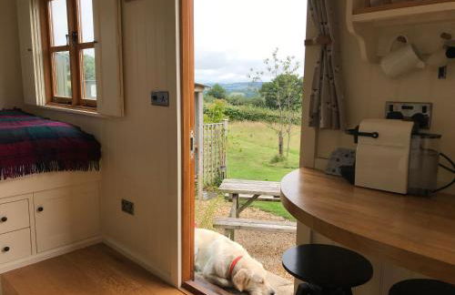 Severn- Luxury hut - Foto 3