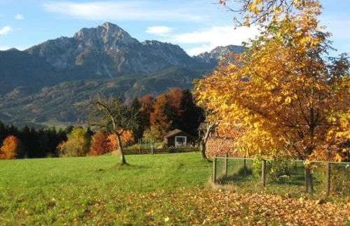 Haus Gollinger - Foto 7