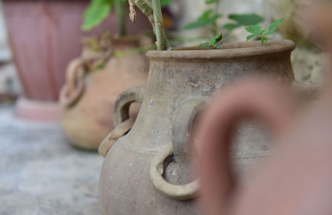 Beit Kfoun - Foto 29