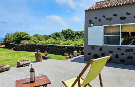 Adega do Bisavô - Foto 10