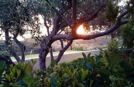 Appartamenti Luongo - Foto 68