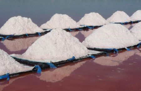 Les Oliviers de Camargue - Foto 29