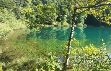 Apartman Lana - Foto 46