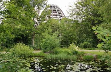 Ferienland Sonnenwald Fewo 46 und Studio 50 in Schöfweg Bayerischer Wald - Foto 48