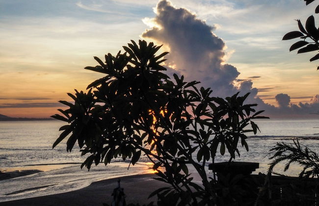 Villa L'Orange Bali - Foto 79