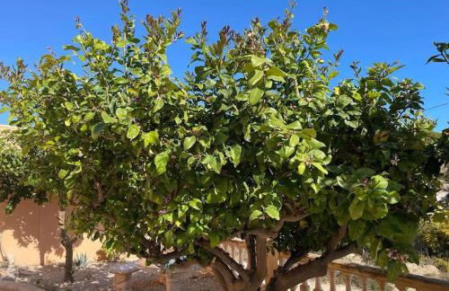 Villa Dos Perlas - Photo 36