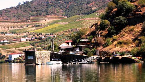 Douro Yacht Charter & Bungalows - Foto 5