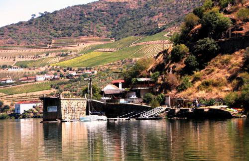 Douro Yacht Charter & Bungalows - Foto 5
