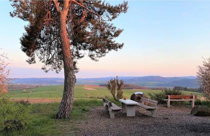 Haus Landlust - Foto 14