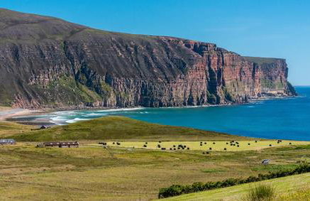 The Steading - Foto 32