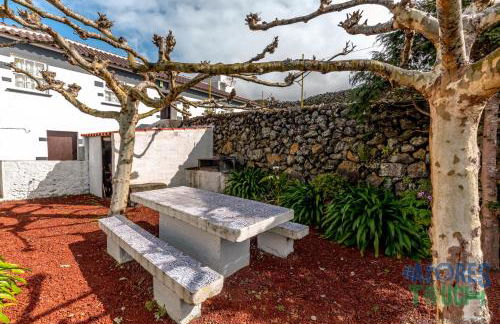 Casa do Tio Jose - Photo 17