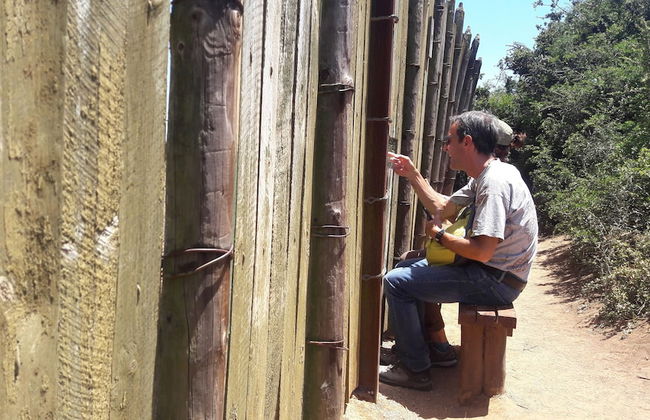 Little Sister's Self Catering - Photo 36