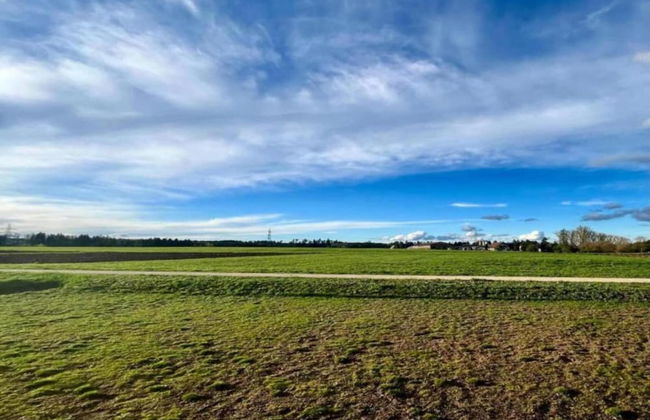 Holiday Apartment Monet in Oberrotweil - Foto 27