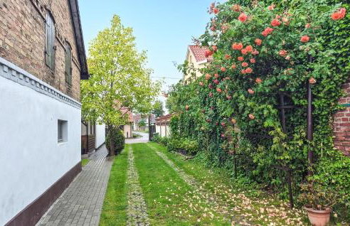 Lovely Apartment In Nowe Warpno - Foto 9