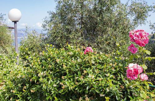 Amazing sea View in Santa Margherita by Wonderful Italy - Foto 46