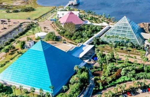 The Tides of Galveston Pet Friendly Walk to Beach - Photo 20