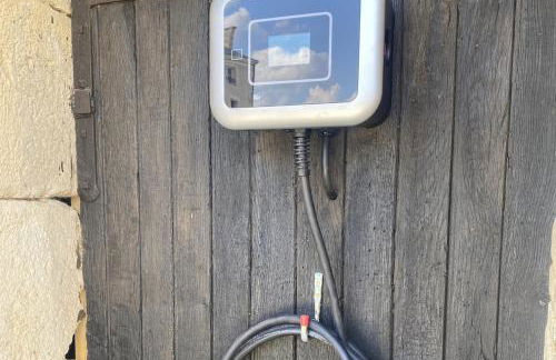 Domaine la Boulinière - Le Faisan - Foto 17