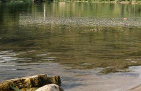 Haus Mindermann - Foto 11