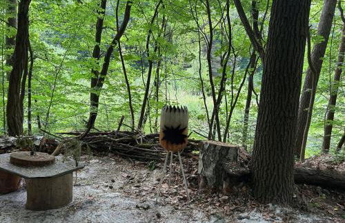 Waldfloß Biberspur - Foto 6