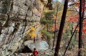 Alice Rocks - Pet Friendly, Firepit, WiFi - Foto 46