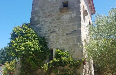 Gite De Merugat - Foto 21