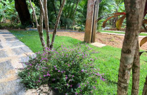 Sítio casa das fadas em Pacoti - Foto 25