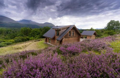 Wild Nurture Eco Luxury Offgrid Log Cabin - Foto 37