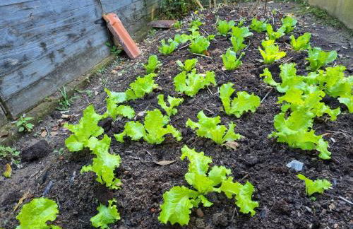 Refúgio Mata Atlântica, Riacho, Piscina, Natureza - Foto 53
